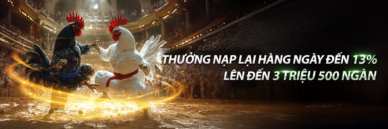 Đá gà 13 tháng 10 tại SGD777